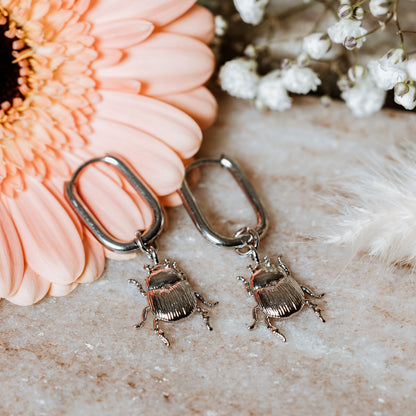 Beetle oblong hoops
