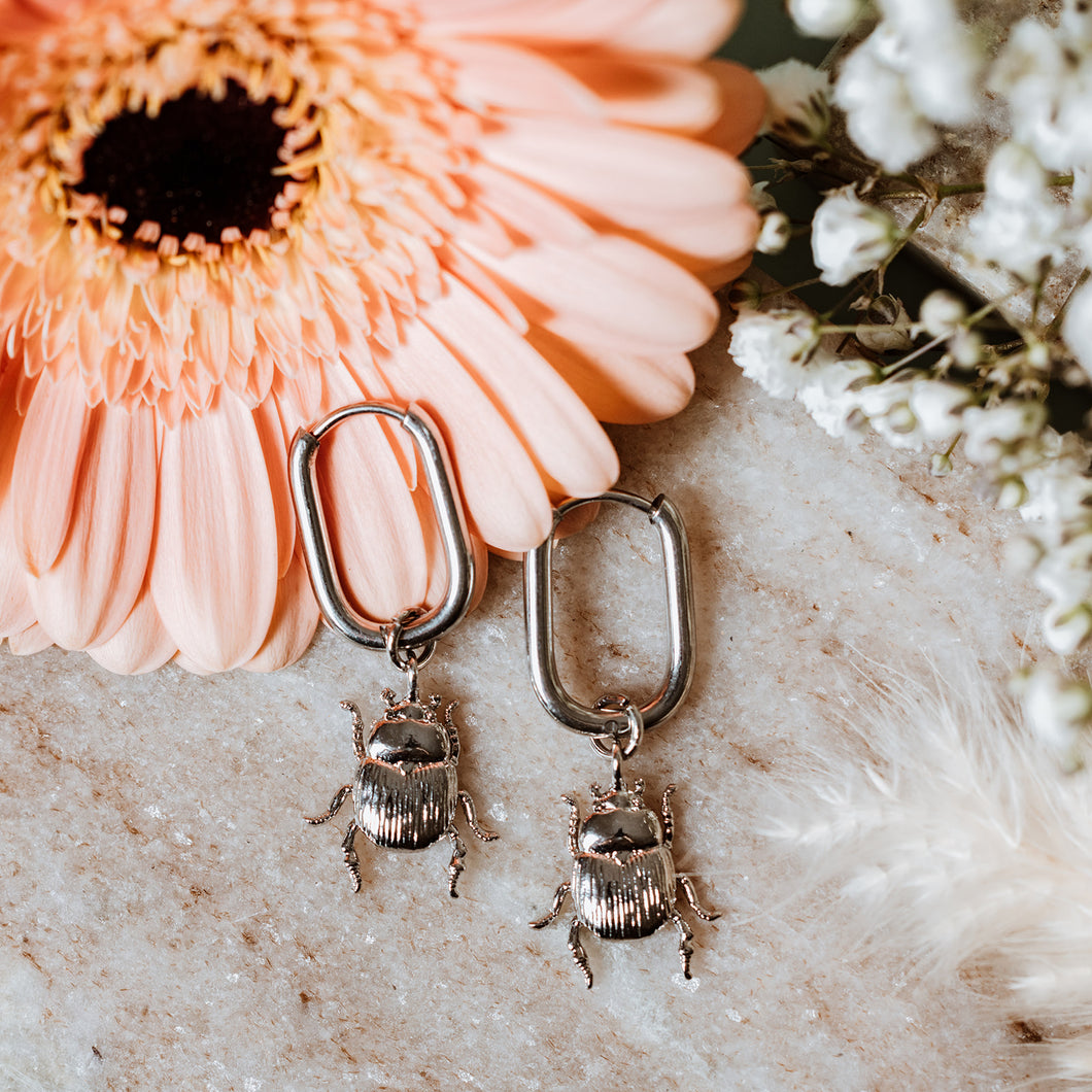Beetle oblong hoops